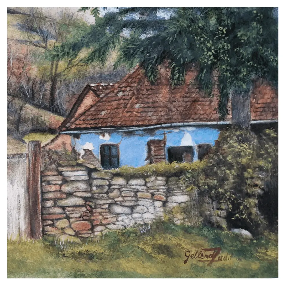 Galerie imagini